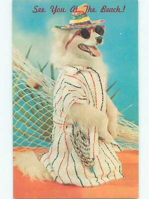 #ad Pre 1980 DOG WEARING CLOTHING AND SUNGLASSES AT THE BEACH : clearance AC5936 C $2.75