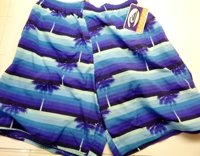 #ad Quiksilver Volley Mens Boardshorts Swim Surf Trunks Large 30 Blue NEW w Tags $11.69