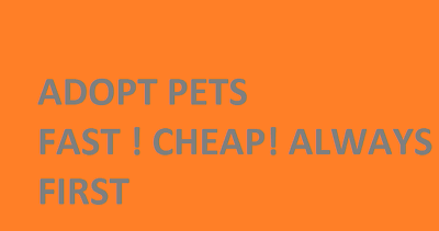 Adopt Pets fast cheap always first $999.00