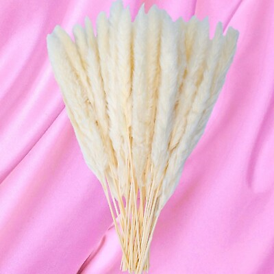 #ad 40pc White Dried Pampas Grass 17 in Tall Fluffy Floral Boho for Home Decor... $15.11