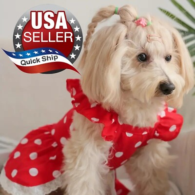 #ad Polka Dot Dress for Dogs amp; Cats •Dachshund •Chihuahua •Pomeranian •Puppy •Kitty $5.99