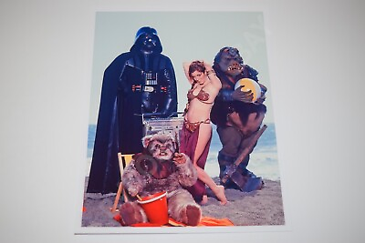 Carrie Fisher Return of the Jedi bikini beach Leia 8x10 glossy photo Busty 039 $7.99