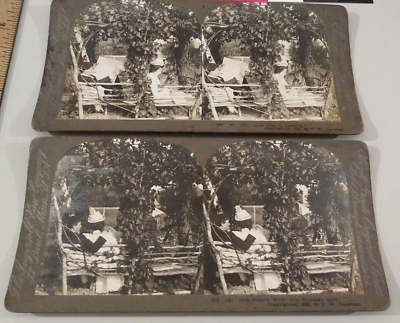 #ad #ad Ingersoll Stereoview Photographs Summer Girl Series $11.00