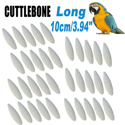 Long Size 3.94quot; 10 50Pcs Cuttlebone Cuttlefish Bone Sepia Fish Bird Calcium Food $9.99