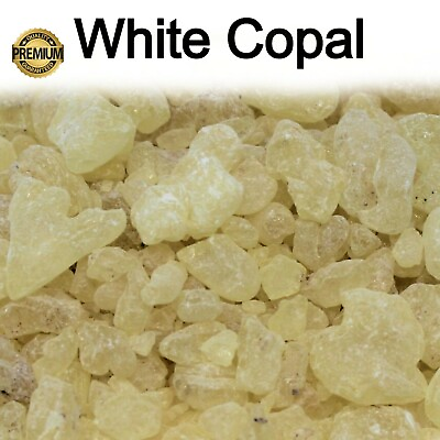 White Copal Resin 100% Pure Natural Incense Gum Dammar Granular Rock Grade A $114.95