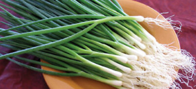 200Green Onion Seeds Tokyo Long White Bunching Onion Scallion Shallot Fresh US $2.89