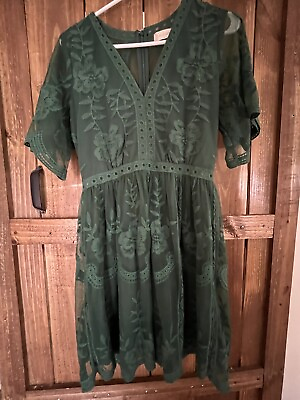 #ad Alter’d State Green Lace Dress Medium M Fit And Flare Sheer Lined Zip $14.00