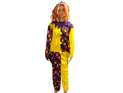#ad Clown Outfit Costume With Wig Party Dress Up One Size Fits All $42.00