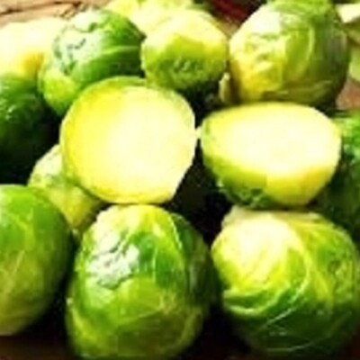 Long Island Brussels Sprouts Seeds NON GMO Heirloom Fresh Garden Seeds $200.00