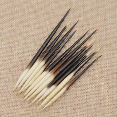 #ad 10Pcs Porcupine Quills DIY Fish Float Hair Stick Hair Craft Fishing Bobber $14.99