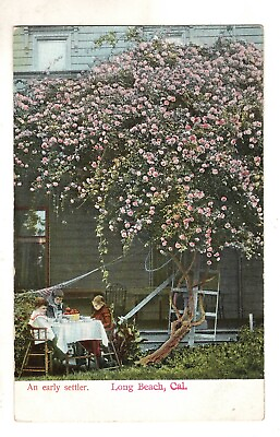 #ad Long Beach CA An Early Settler Flowering Tree Kids Table Vintage Postcard $5.85