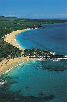 Continental Postcard Makena Little Beach Maui Hawaii $4.99