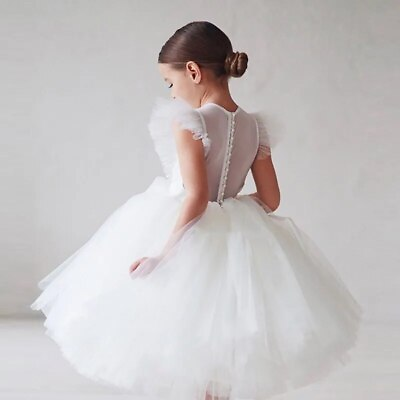 #ad Girl Fluffy Dress Flower Wedding Ceremony Costume Birthday Outfits Kids Clothes $34.11