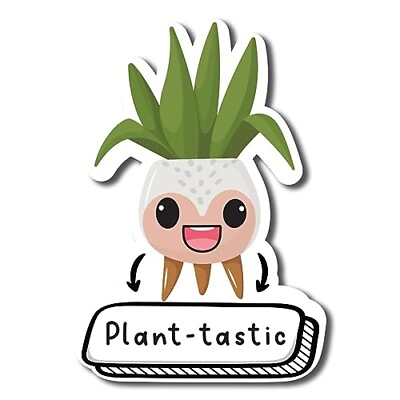#ad Plant Tastic Cute Funny Plant Succulent Magnet Decal 5 In Automotive Magnet $7.99