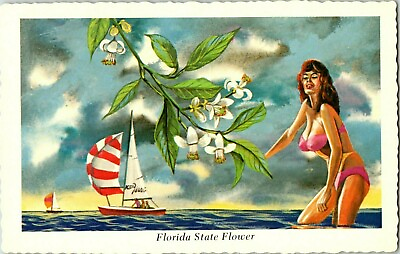#ad Postcard Sailboat Girl Bikini State Flower Humor Florida A22 $4.99