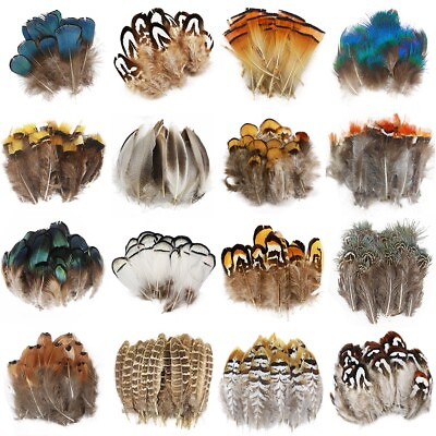 Diy Small Plume Pheasant Feathers Color for Craft Decoration Wedding Carnival $9.99