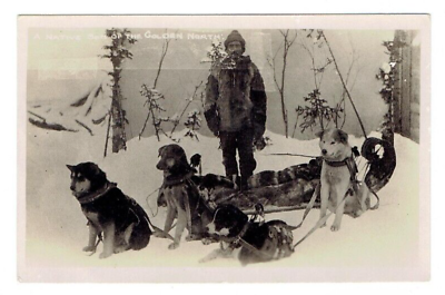 #ad Sled Dog Team Sled Musher Postcard Unposted Native Golden North Snow Canada $9.99