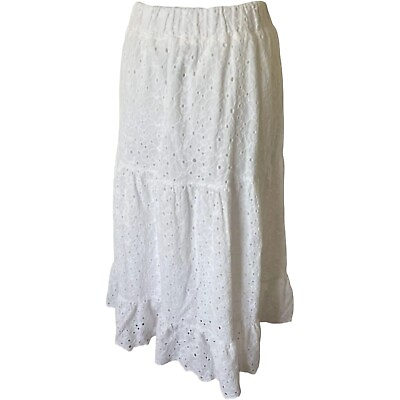 Zara Eyelet Maxi Skirt Long Embroidered Lined Womens Size Small White $29.99