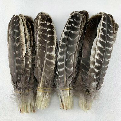 #ad 10 50pcs 8 13Inch Natural Turkey Feather for Crafts DIY Collection Wedding Party $12.69