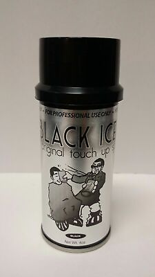 Black Ice Original Chromatone Touch Up Spray Black 4 oz $16.99