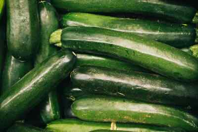 Organic Zucchini Seeds Summer Squash Heirloom FRESH stock $9.00