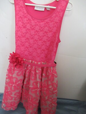 P29 Girls Size 5 6 Pink Lined Skirt Lace Top Stitched Flowers By Place $12.99