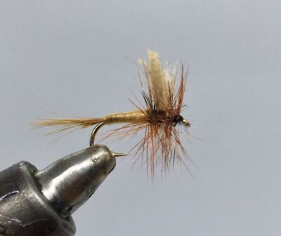 #ad One Dozen 12 March Brown Dun Dry Fly $13.99